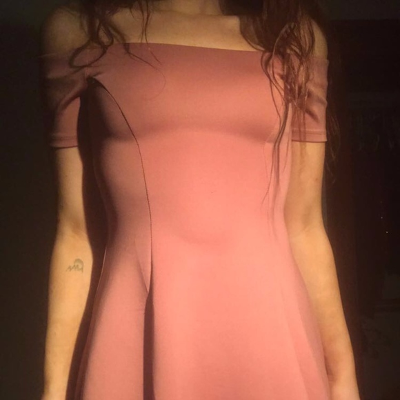 Forever 21 Dresses & Skirts - pink skater dress